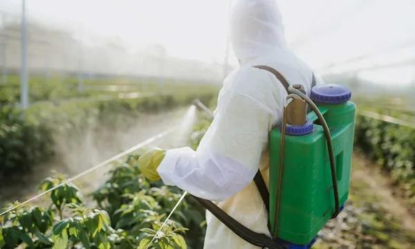 Effets de l'exposition aux pesticides sur les maladies métaboliques en fonction du sexe