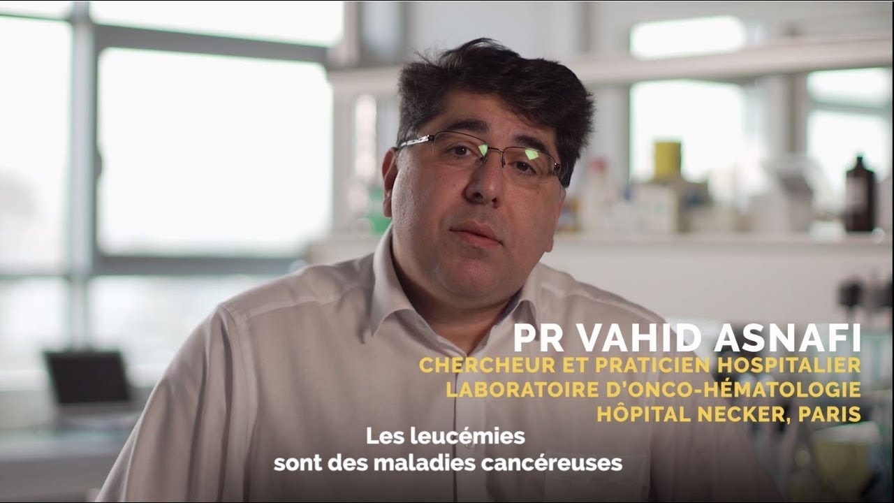 Leucémies : vers un traitement adapté à chaque patient