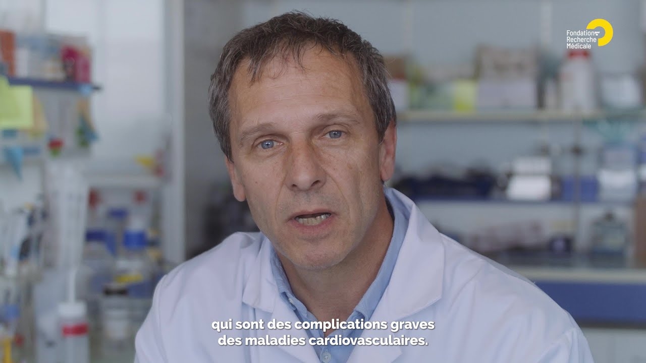 En immersion dans l'équipe de Bernard Payrastre qui étudie les complications « thromboemboliques »