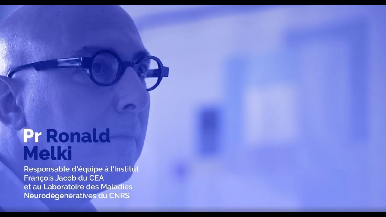 Alzheimer :  le Pr Ronald Melki explique ce qui provoque la dégénérescence et la mort des neurones