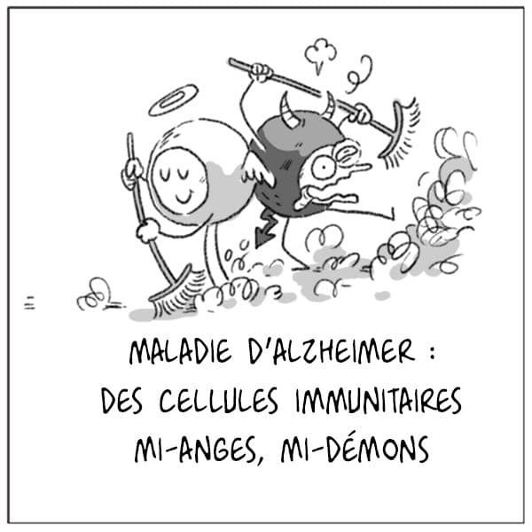 Maladie d’Alzheimer : des cellules immunitaires mi-anges, mi-démons