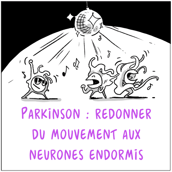 BD Maladie de Parkinson