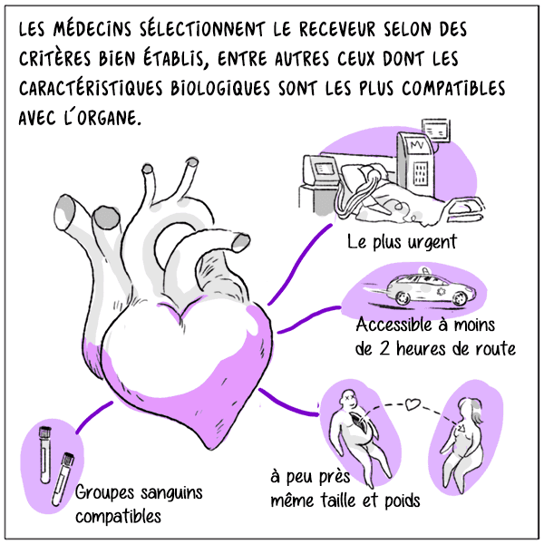 Case 4 de la BD "Cœur à prendre : pourquoi tant de rejet" sur la greffe cardiaque