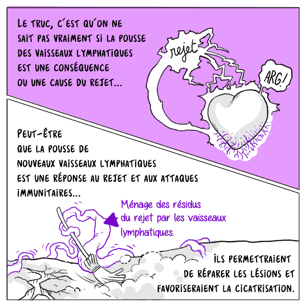 Case 13 de la BD "Cœur à prendre : pourquoi tant de rejet" sur la greffe cardiaque