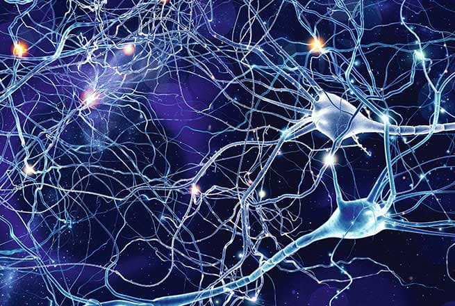 Addictologie : mieux comprendre les mécanismes cérébraux de l’addiction
