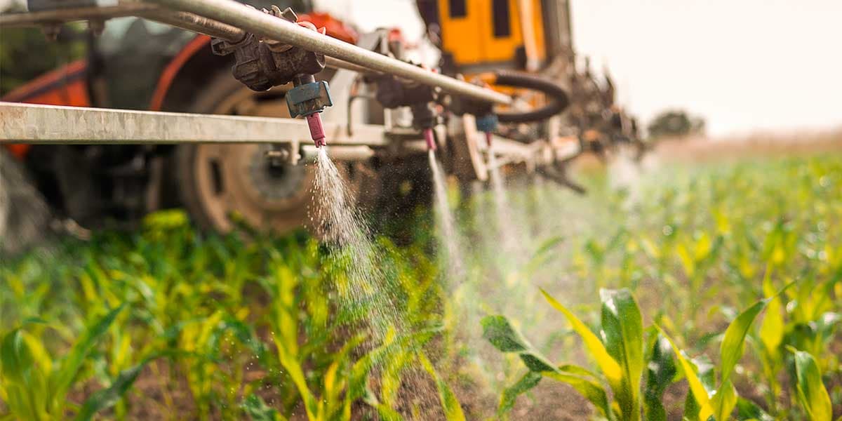 Pulvérisateur de pesticides sur des cultures dans un champ.