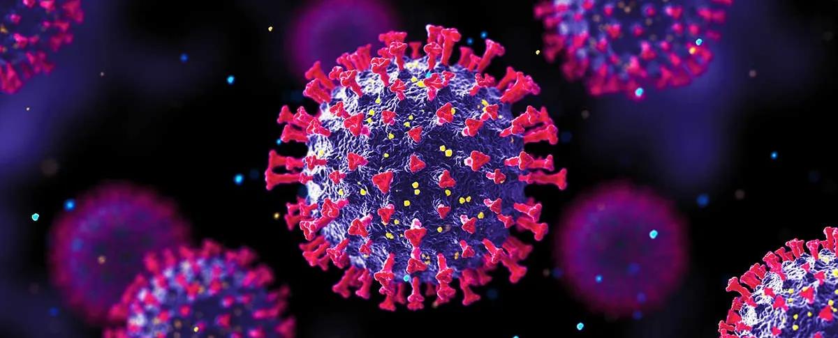Cellule de coronavirus