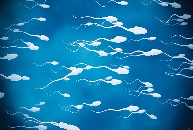 Illustration de spermatozoïdes