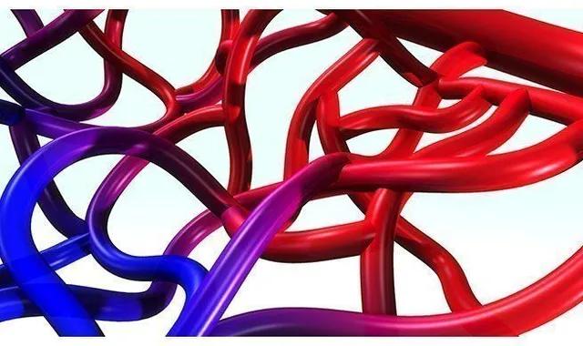 Hypertension artérielle : découverte d’une protéine impliquée au niveau des petits vaisseaux