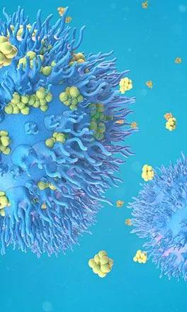 Leucémies aiguës myéloïdes : explorer une nouvelle piste de traitement