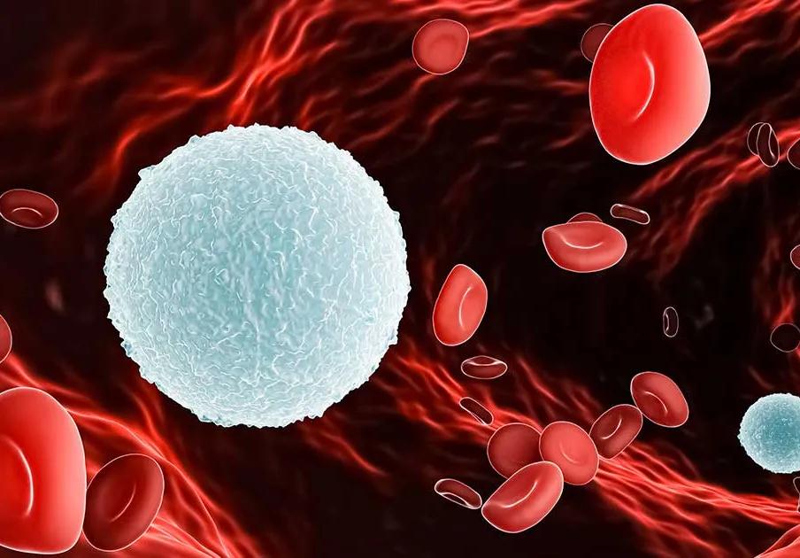 Rectocolite hémorragique : une meilleure caractérisation des lymphocytes B lors de la pathologie