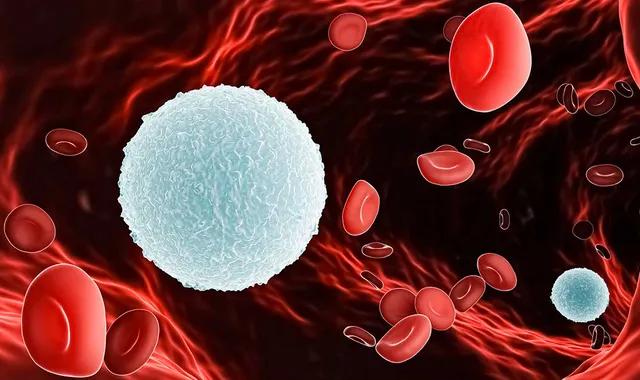 Rectocolite hémorragique : une meilleure caractérisation des lymphocytes B lors de la pathologie
