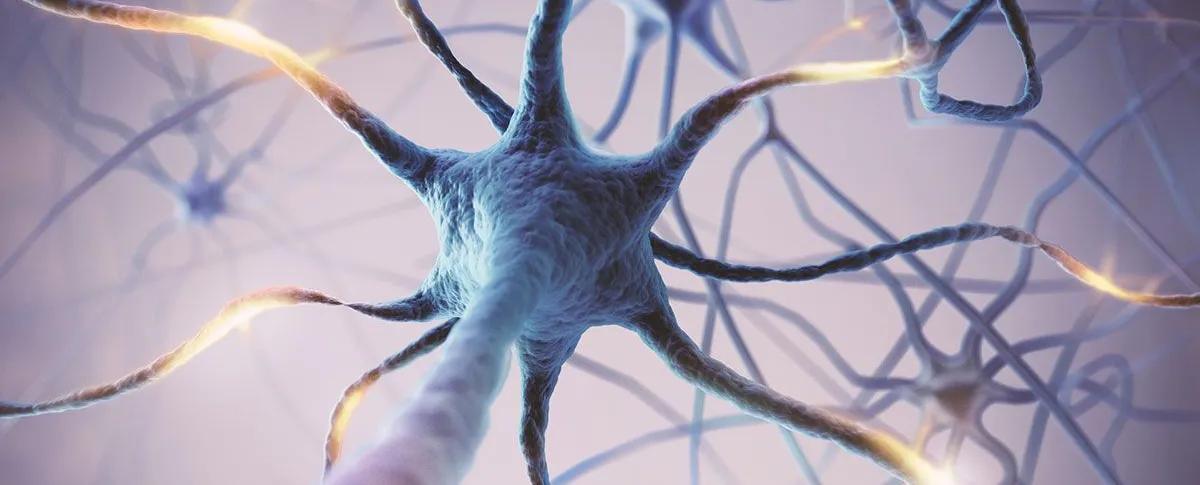 Maladie de Parkinson : trouver une alternative à la stimulation cérébrale profonde