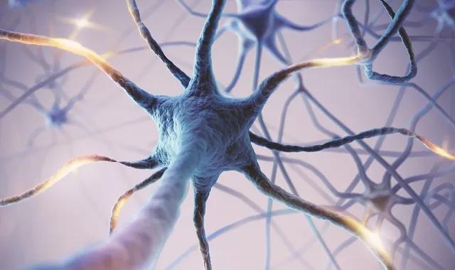 Maladie de Parkinson : trouver une alternative à la stimulation cérébrale profonde