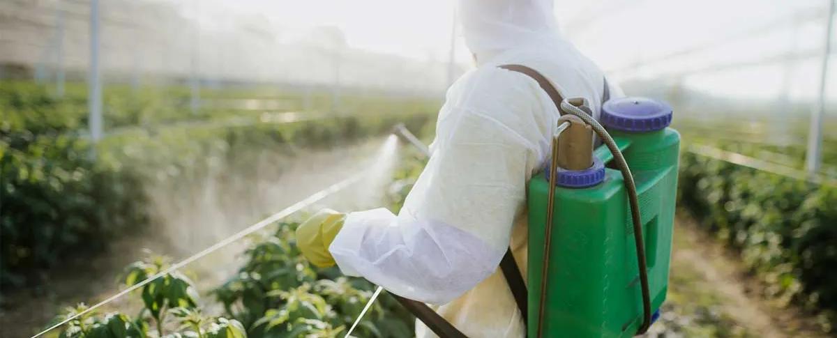Effets de l'exposition aux pesticides sur les maladies métaboliques en fonction du sexe
