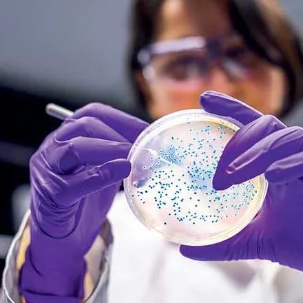 Une scientifique analyse des cellules dans un laboratoire.