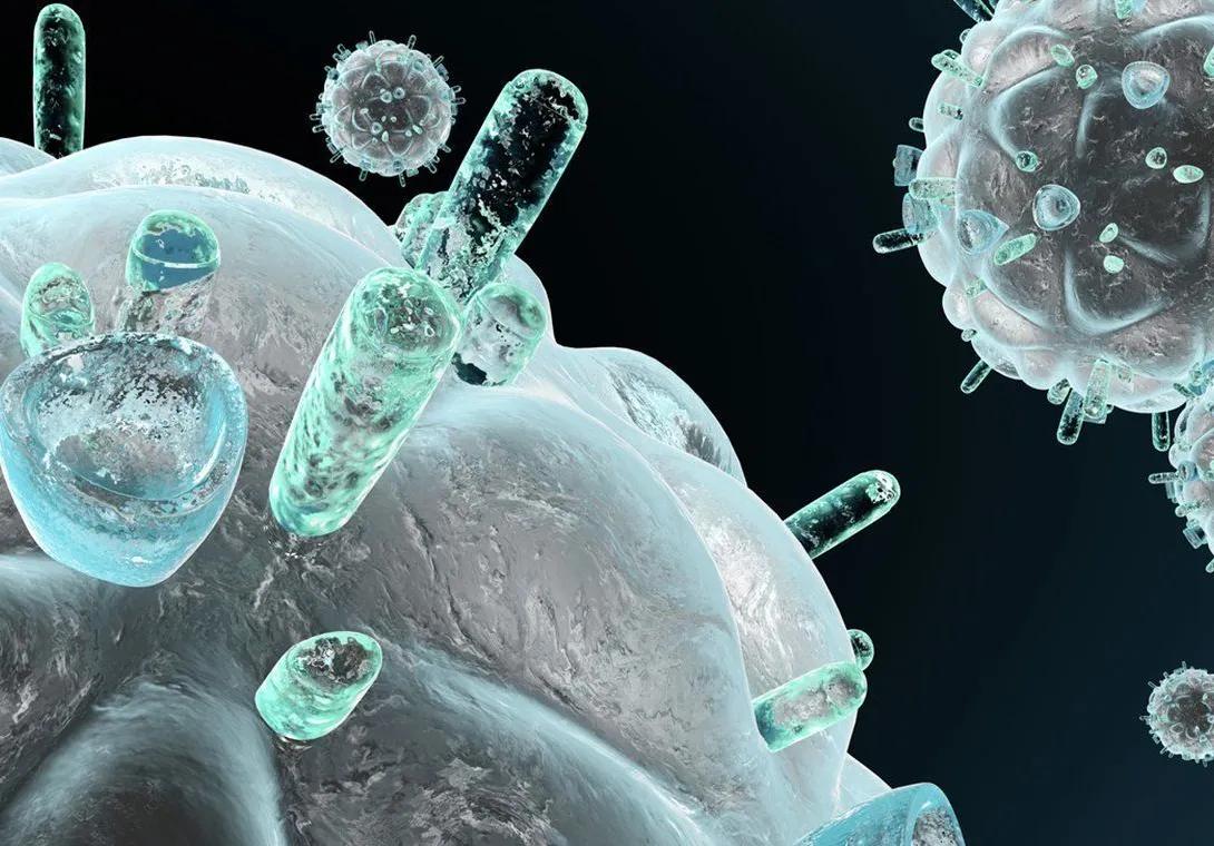 Des virus cachés dans certaines cellules immunitaires
