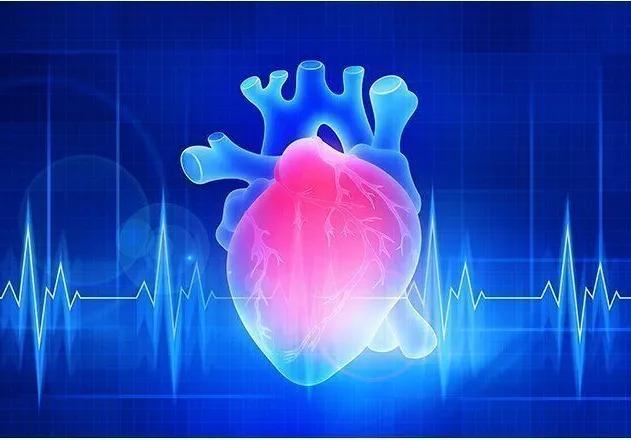 Troubles du rythme cardiaque : prévenir la mort subite