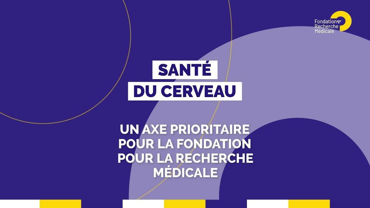 Santé du cerveau : une axe prioritaire de la Fondation pour la Recherche Médicale