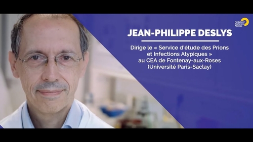 Projet de Jean-Philippe Deslys : des « mini-cerveaux » humains pour étudier la maladie d’Alzheimer