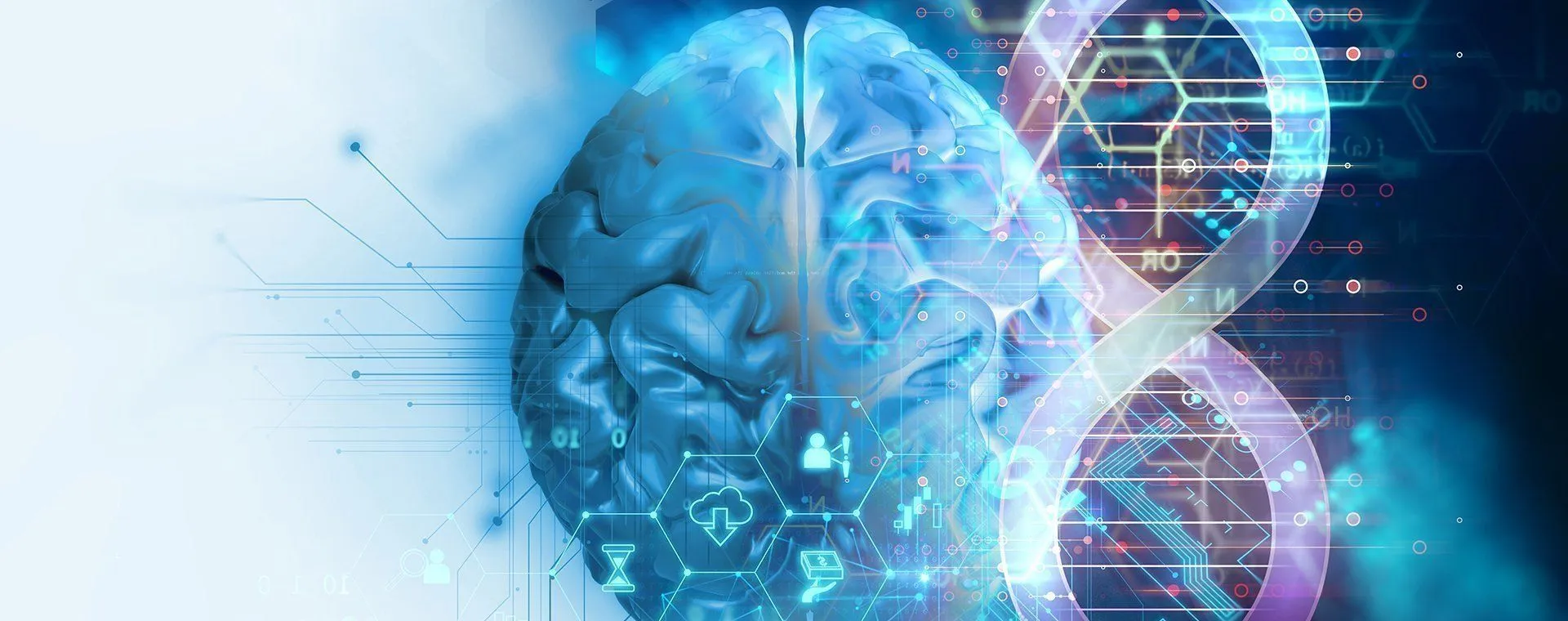 Epilepsie un cerveau virtuel pour améliorer les traitements dans l