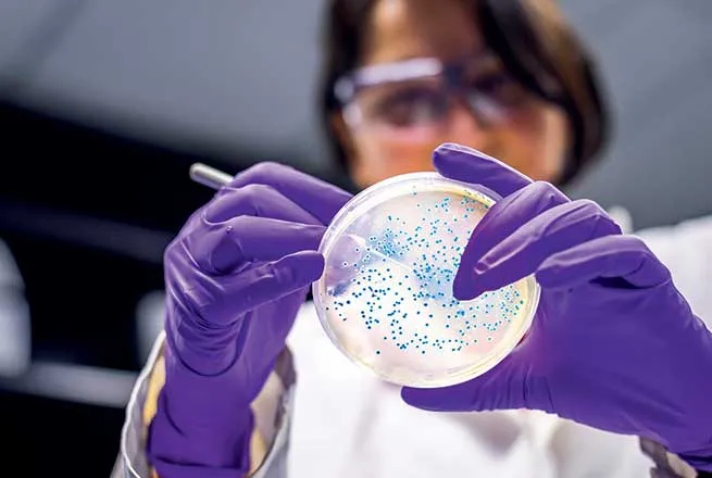 Déclarer ses dons aux impôts 2026 : réduction IR 66 % et IFI 75 % | FRM ...