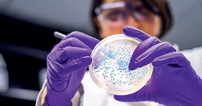 Déclarer ses dons aux impôts 2026 : réduction IR 66 % et IFI 75 % | FRM ...